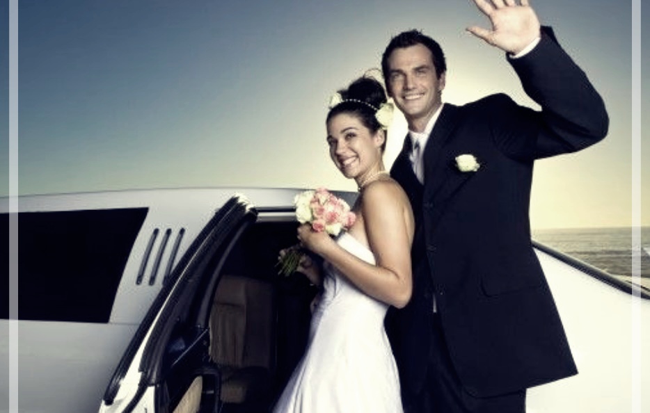 사면발이: 증상, 치료 방법, 그리고 전염성