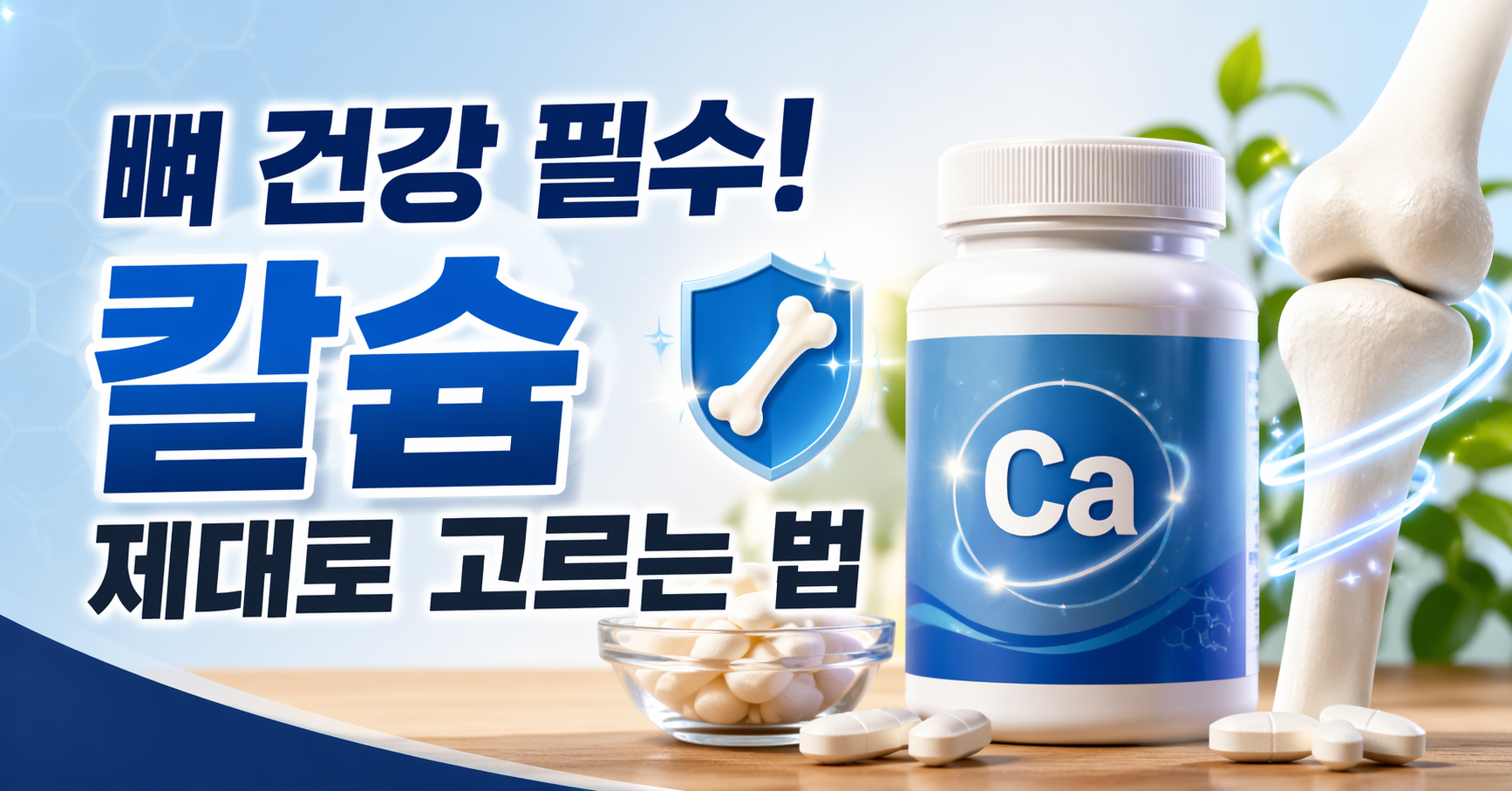 칼슘 추천