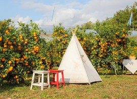 휴애리 감귤체험 안내