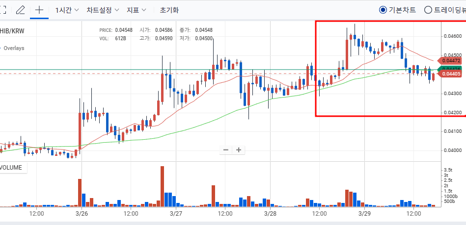 시바이누 가격 상승