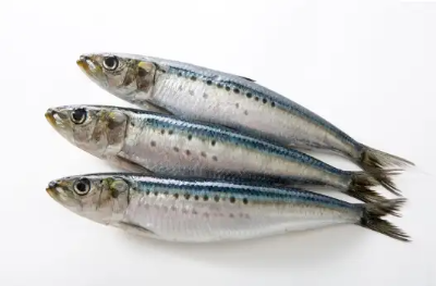 여성 갱년기에 좋은 식품