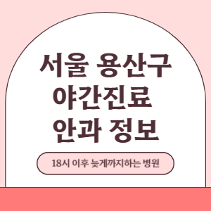 서울 용산구 야간진료 안과 병원 (18시 이후 늦게까지하는 병원)