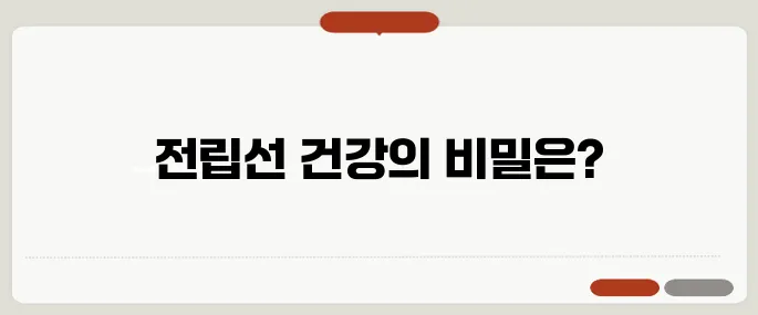 쏘팔메토 전립선 건강 도움될까 남성에게 추천하는 이유