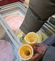 생방송투데이 외국인의 밥상 보양식