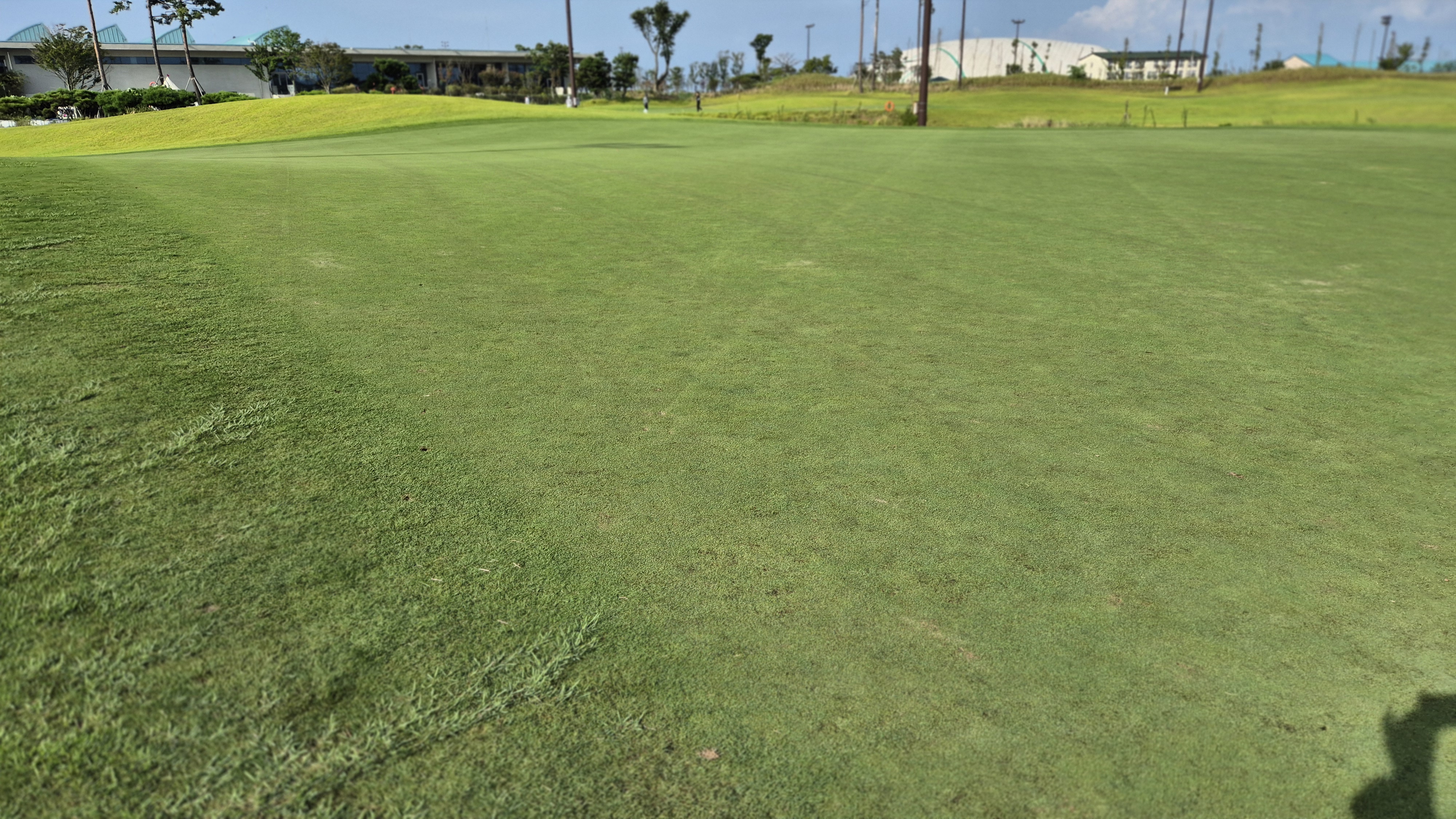 플라밍고cc 듄스-링크스 코스 라운드 후기