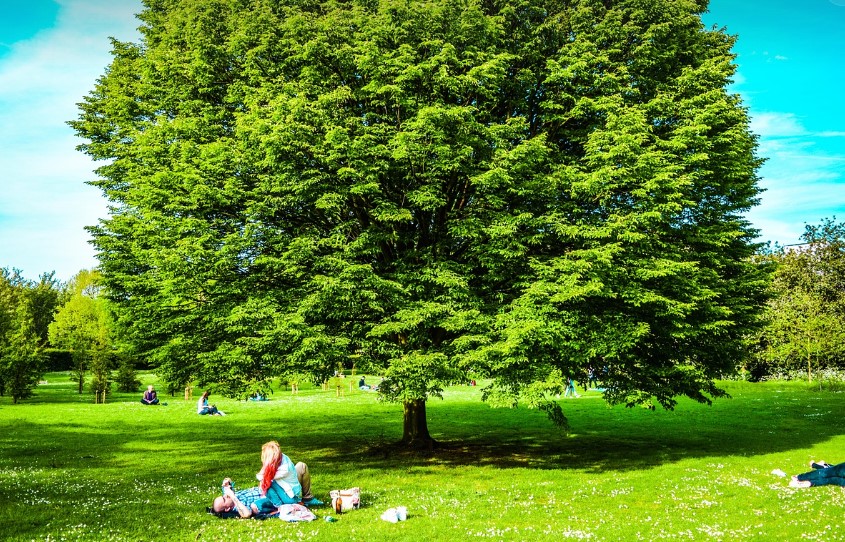 정부지원금 관련 이미지