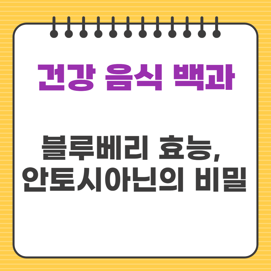 블루베리 효능, 안토시아닌의 비밀