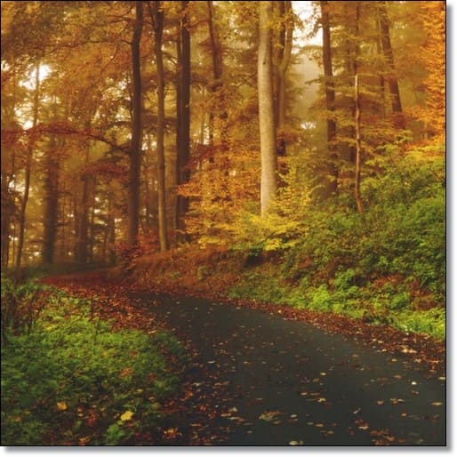 개별공시지가조회