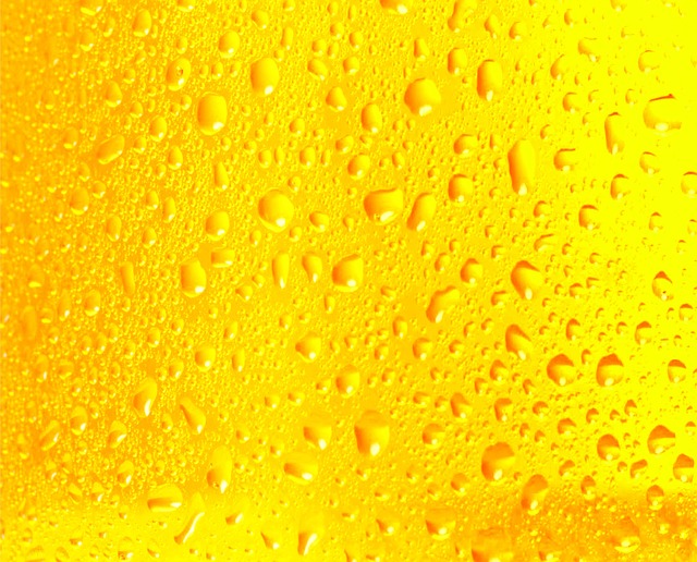 파랑과 금빛: 맥주 라벨 컬러가 상징한 시원함과 품격