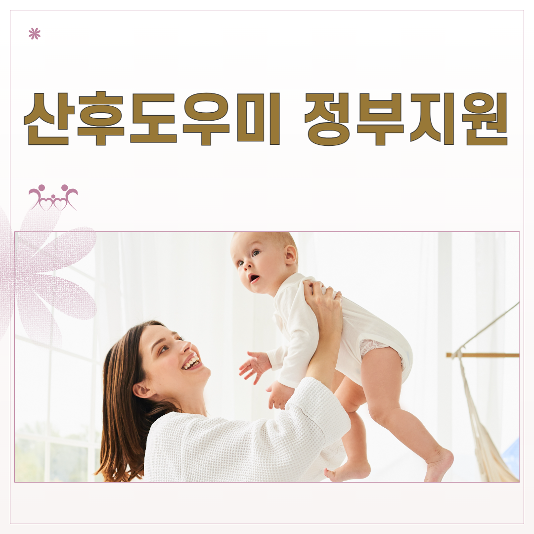 산후도우미 정부지원