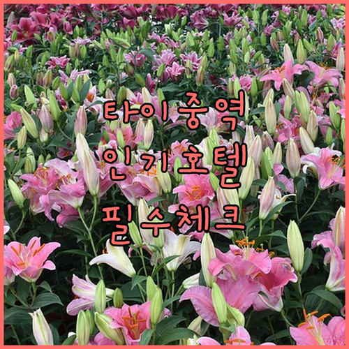 타이중 기차역 주변 인기 호텔 5곳 ..