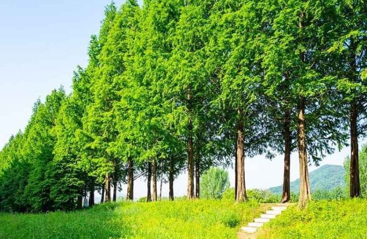 공주 가볼만한곳 베스트 10
