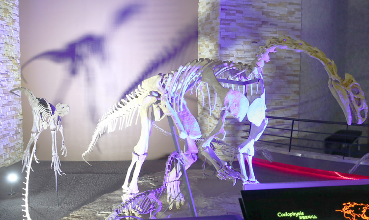 해남 공룡박물관