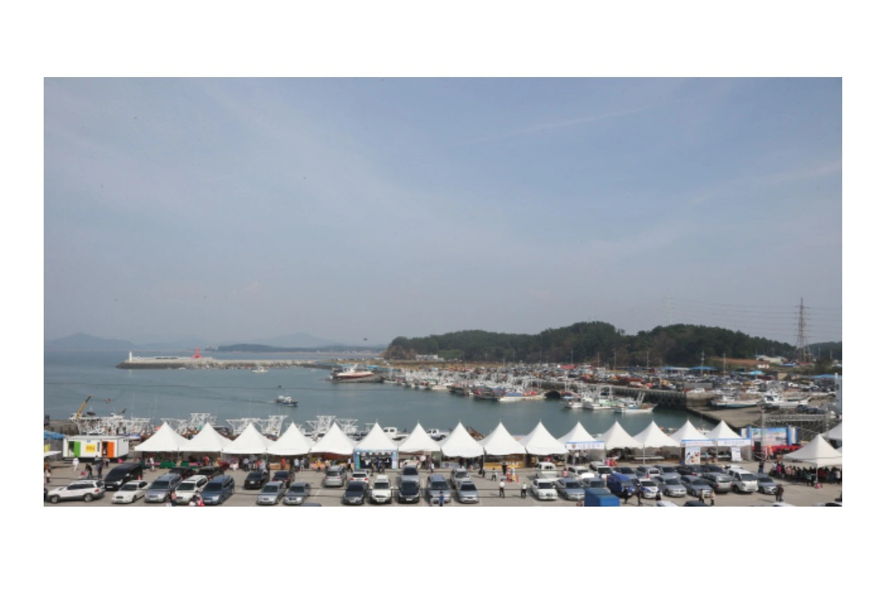 전어 축제 2025&amp;#44; 서천 홍원항 자연산 전어 꽃게 축제