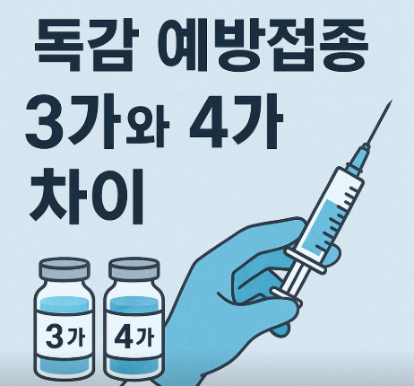 독감 예방접종 3가, 4가 차이점