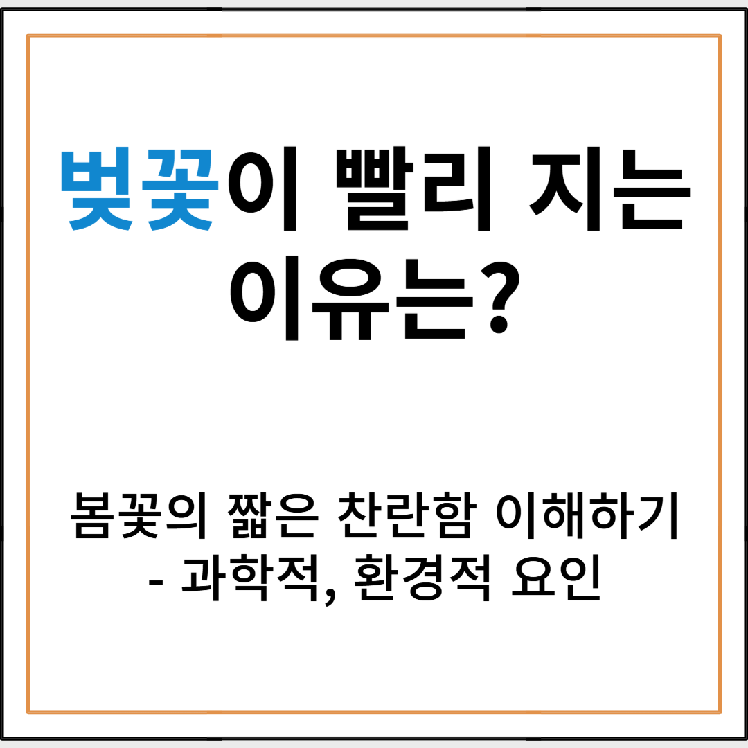 벚꽃이 빨리 지는 이유는? 봄꽃의 짧은 찬란함을 이해해보자