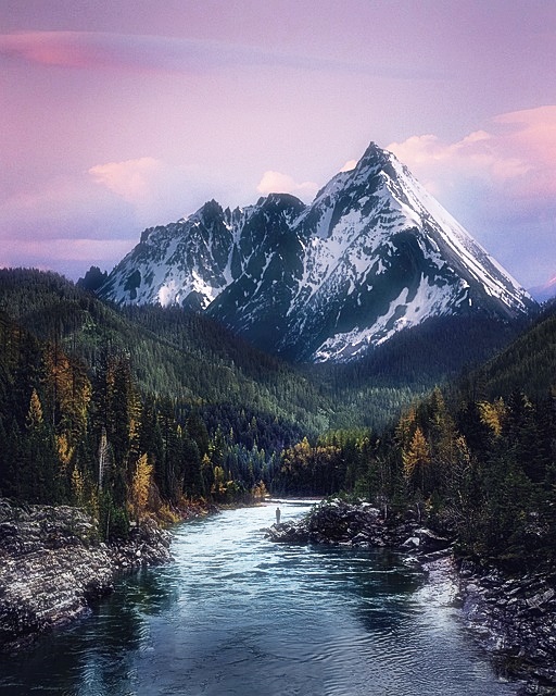 토지(임야)대장 발급방법