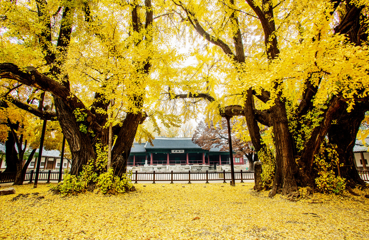 익스피디아 11월 15% 호텔할인코드 (~12.31) + 제주 호캉스 럭셔리 호텔 BEST 05