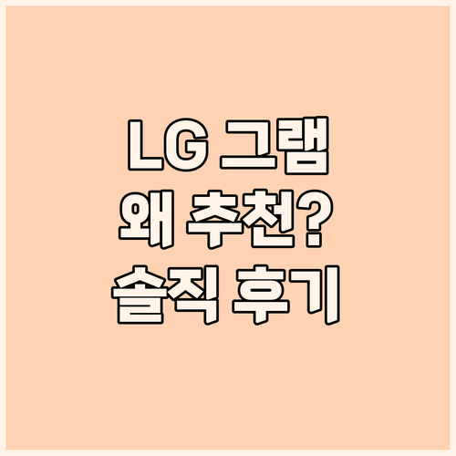 LG 그램, 왜 다들 추천할까? 솔직..