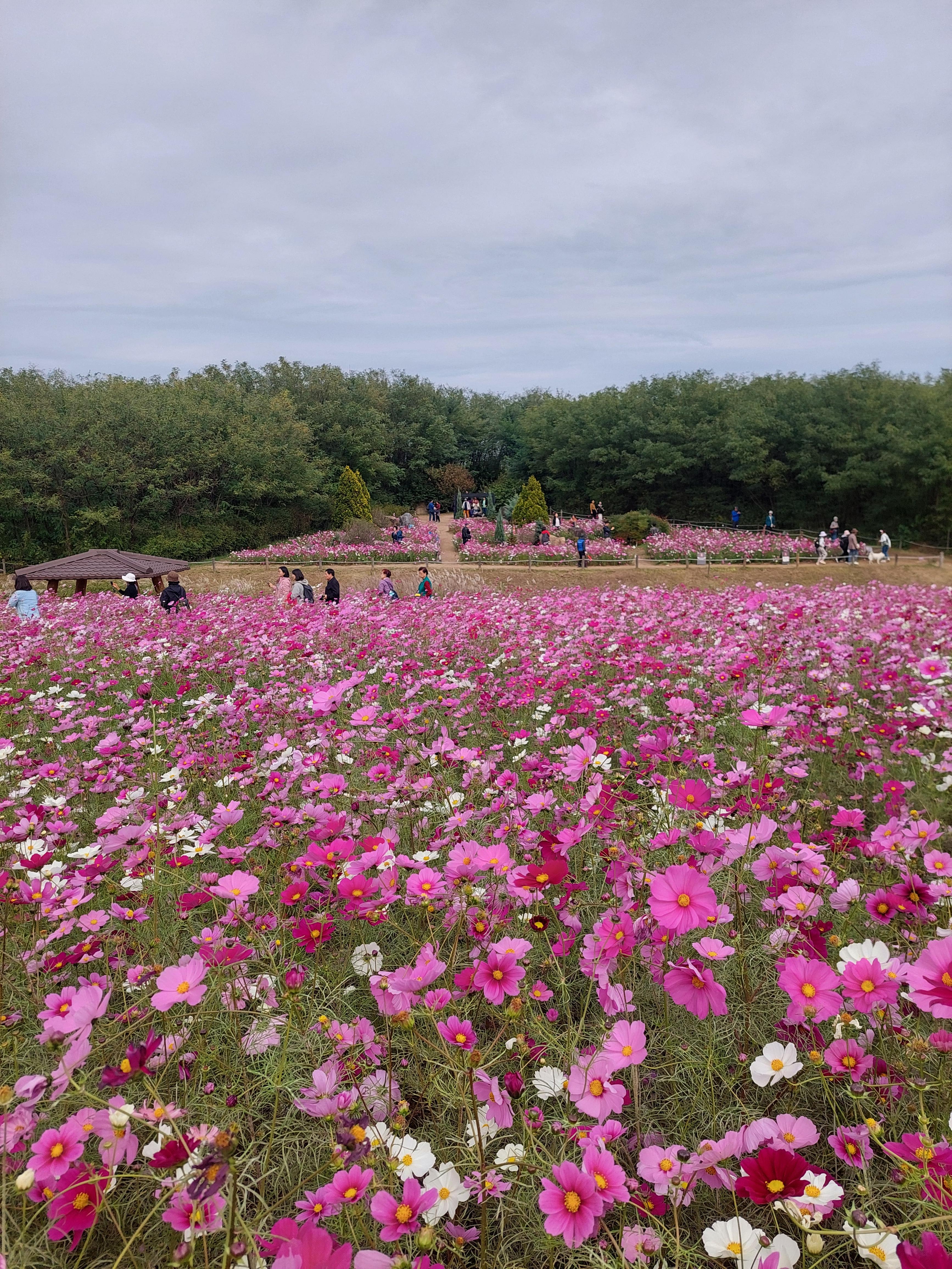 하늘공원