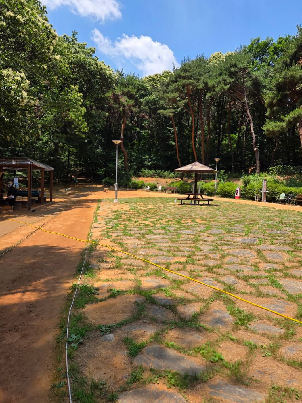 황토 맨발 걷기의 건강 효과의 모든것