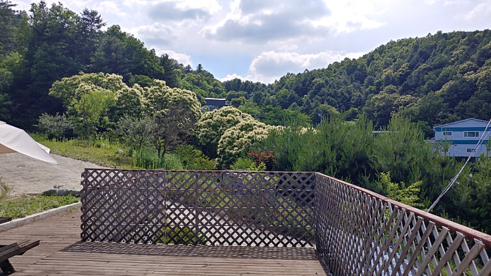 경기-가평-사과나무-캠핑장-사진-입니다.