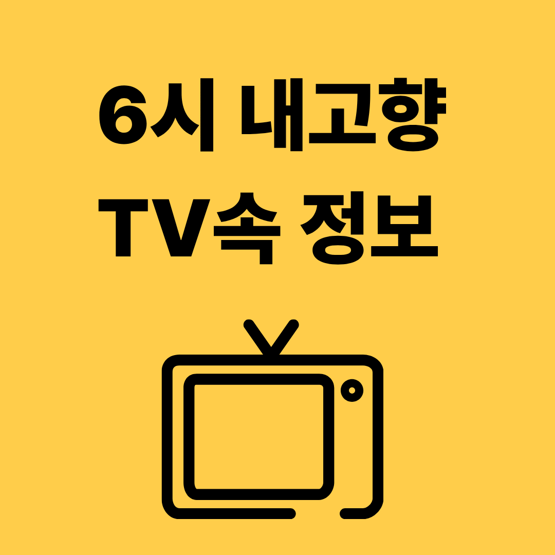 6시 내고향
