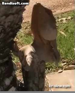 img.webp?credential=yqXZFxpELC7KVnFOS48ylbz2pIh7yKj8&expires=1767193199&allow_ip=&allow_referer=&signature=M4dVjb1bC0l7rzhWXMBOA1C1nTI%3D