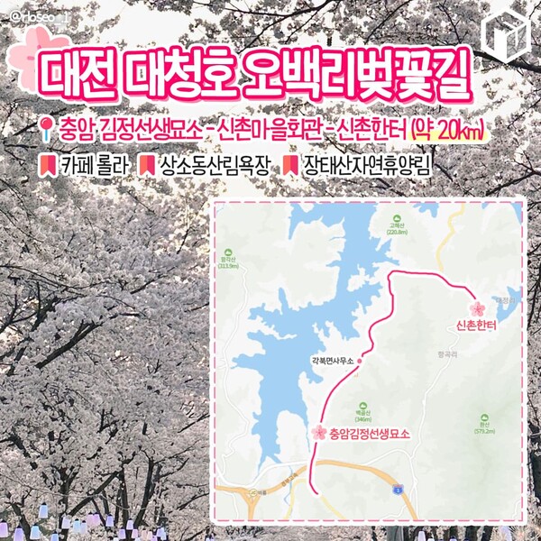 벚꽂 보러 갈래? 드라이브 코스 9(Do you want to go see cherry blossoms? South Korea's Beautiful Drive Course 9)