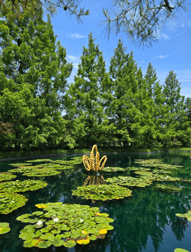 코스내 멋진 연못정원