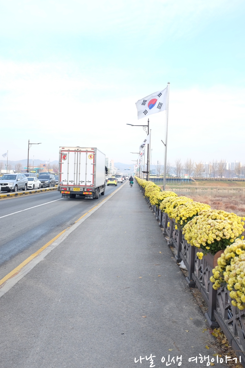 “곡교천변_은행나무길_14”data-filename=