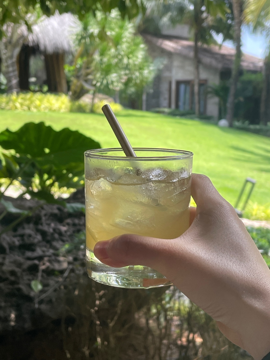 일상공유 관련사진