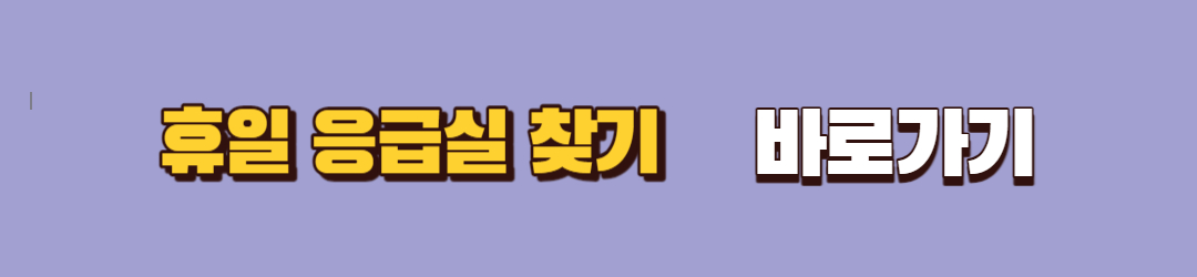 휴일 병원 및 응급실 찾기