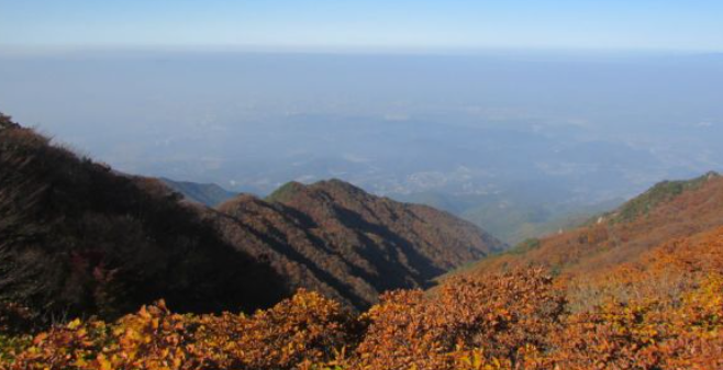 2025 충청도 단풍 명산 코스 추천 ❘ 월악산·계룡산·속리산 절정 시기