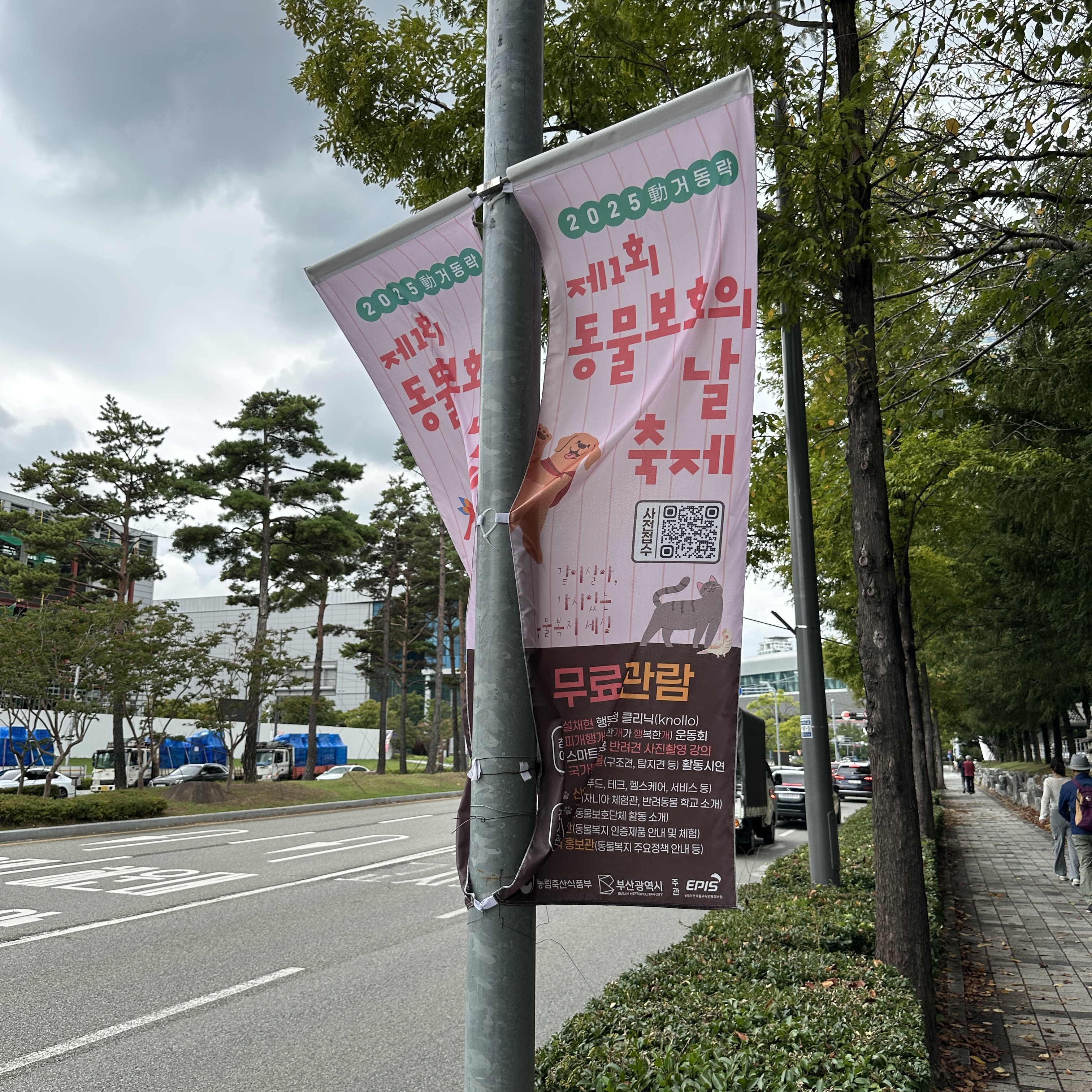 동물보호의날축제