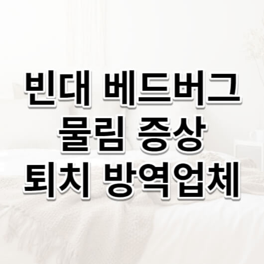 빈대-물림증상-방역업체