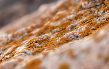 장마철 곰팡이 예방 실전 노하우