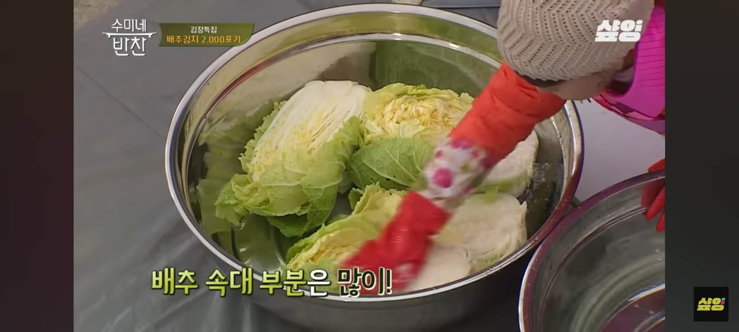 김장김치 배추 절이는 법