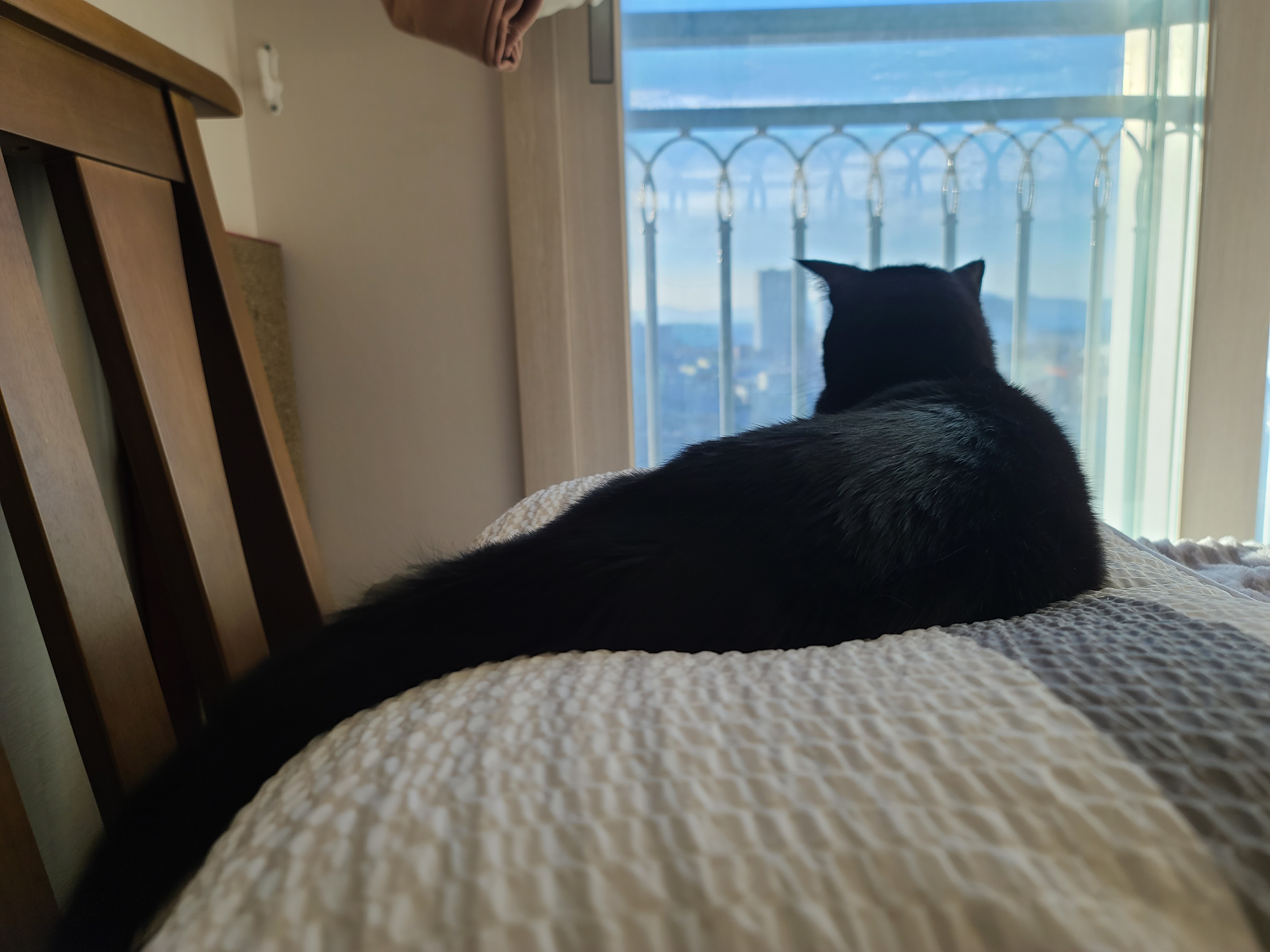 엄마랑 손잡고 잘래...?