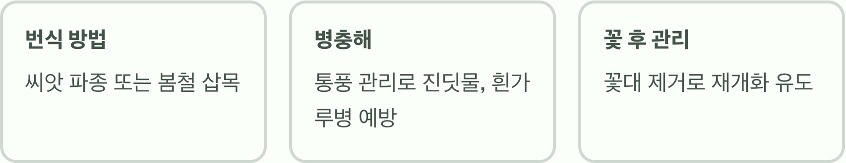 여름 정원의 보석, 바이텍스나무 키우기 A to Z