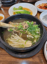 세종 조치원 복숭아 축제