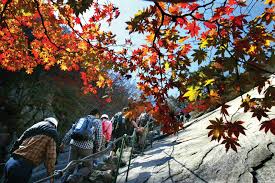 북한산 단풍 명소 베스트코스
