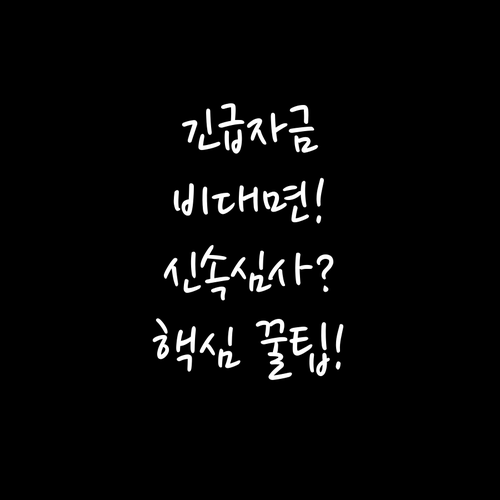 긴급 자금 온라인 비대면 신청 방법과..