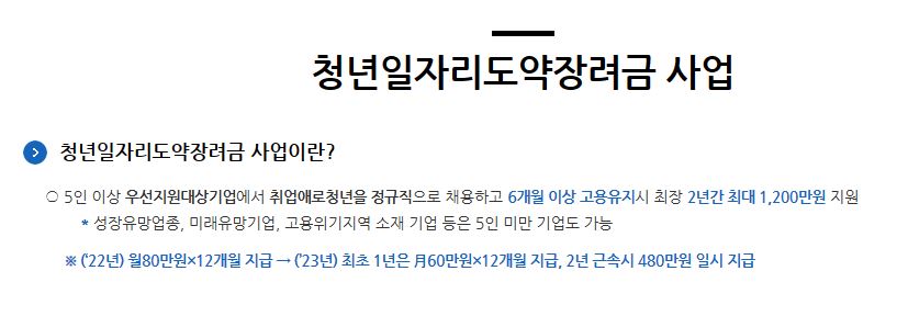 청년일자리 도약장려금