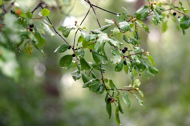경찰 단계에서 수사기록 열람 요청이 거부된 경우의 대응법
