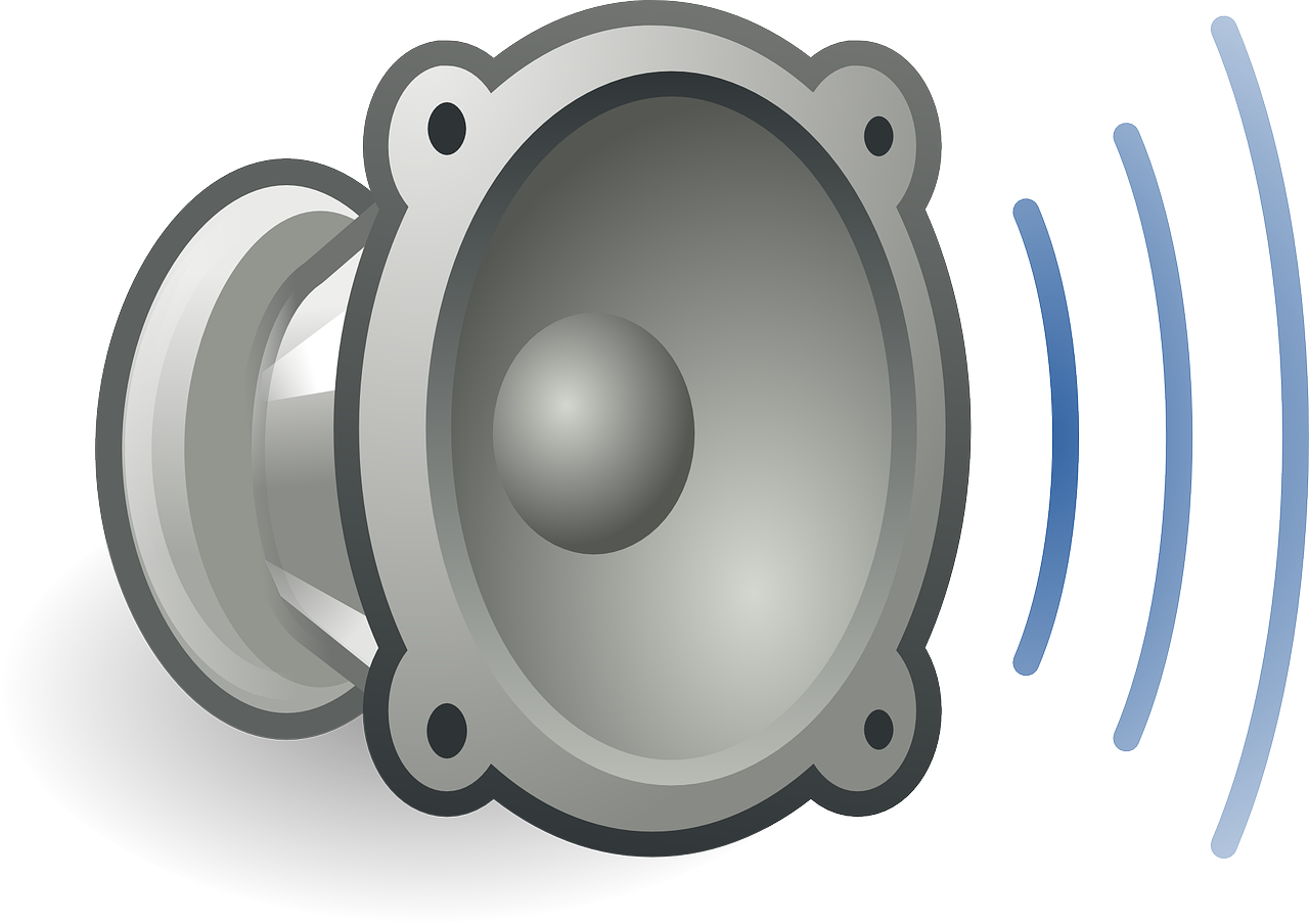 성대결절의 진단과정