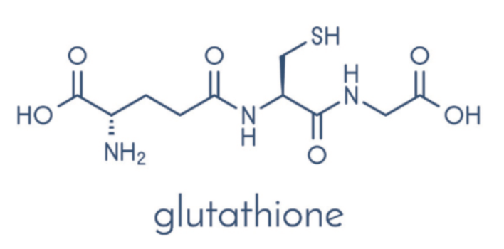 글루타치온 효능 5가지와 제품 구매 시 고려할 사항