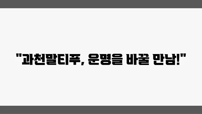과천말티푸분양 알아봅니다