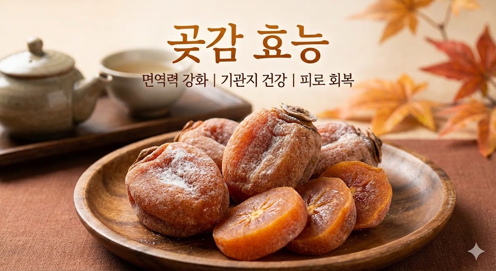 곶감 효능