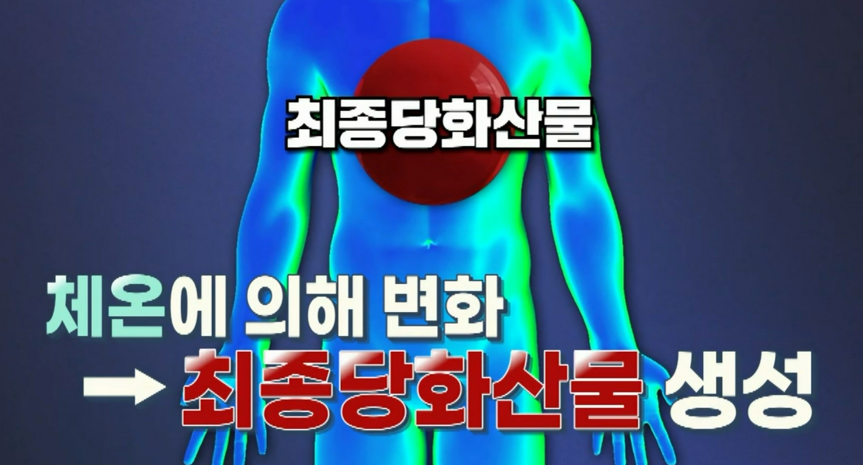 세리포리아 락세라타 효능